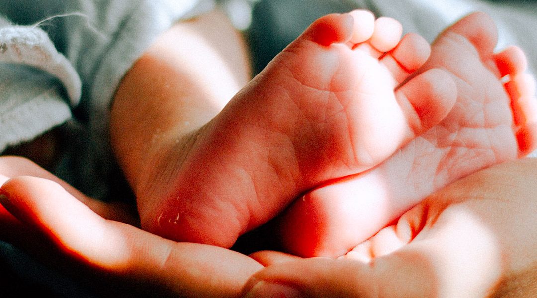 La Cour de cassation se prononce sur la protection de la paternité