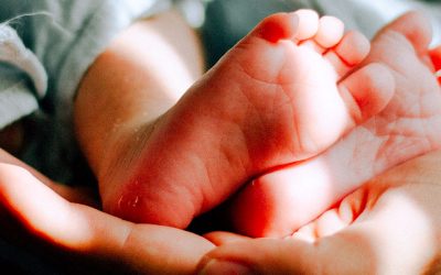 La Cour de cassation se prononce sur la protection de la paternité